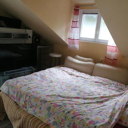 Wohlfuehloase - Zimmer, Appartment - Im Herzen Starnbergs 객실 사진