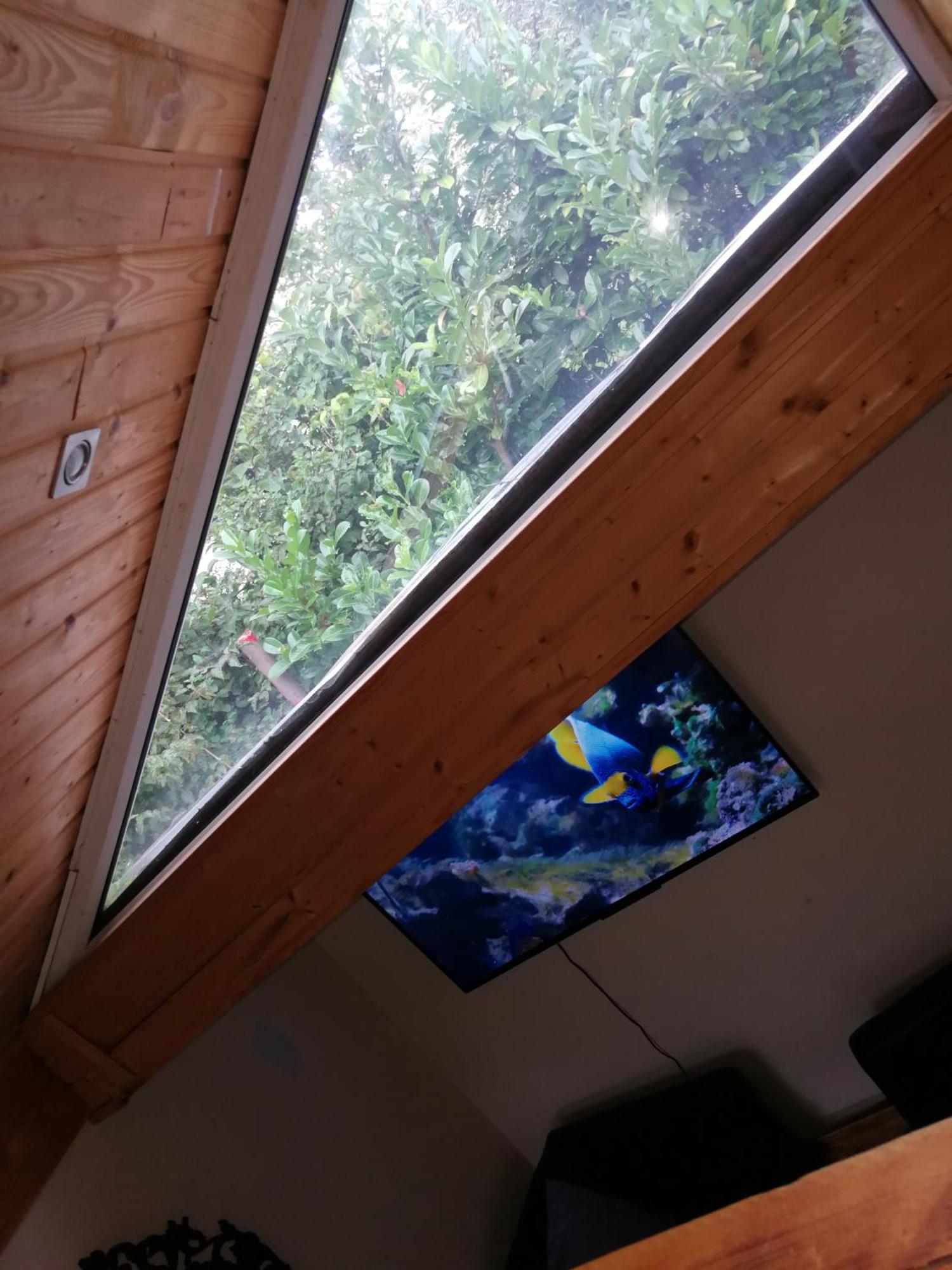 Wohlfuehloase - Zimmer, Appartment - Im Herzen Starnbergs 객실 사진